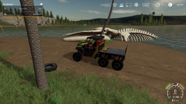 goldtransport.png