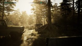 Chernobylite (4).jpg Chernobylite (4).jpg
