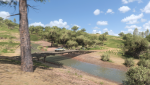 Forza Horizon 5 20220429 1.png