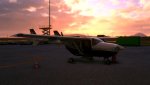 MSFS-307.jpg
