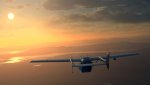 MSFS-310.jpg