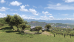 Forza Horizon 5 2021-12-14 08.png