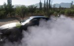 HW Mustang.jpg