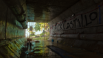 12815F12-03AD-4F15-91D7-5BE30A379554.png