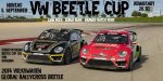 Volkswagen_Andretti_Rallycross_2018-Large-8392_20220904195800250.jpg