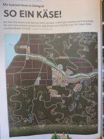 Erlengrat 1.jpg