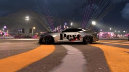 Pest-Camaro.JPG