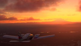 MSFS-1213.jpg