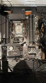 IMG_6668.jpeg