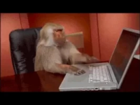 1612909139301.png