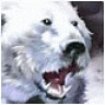 X30 Balu