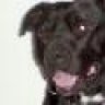 tayson81