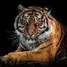 Ralf_001