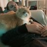 Matzeteddy