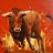 Bull