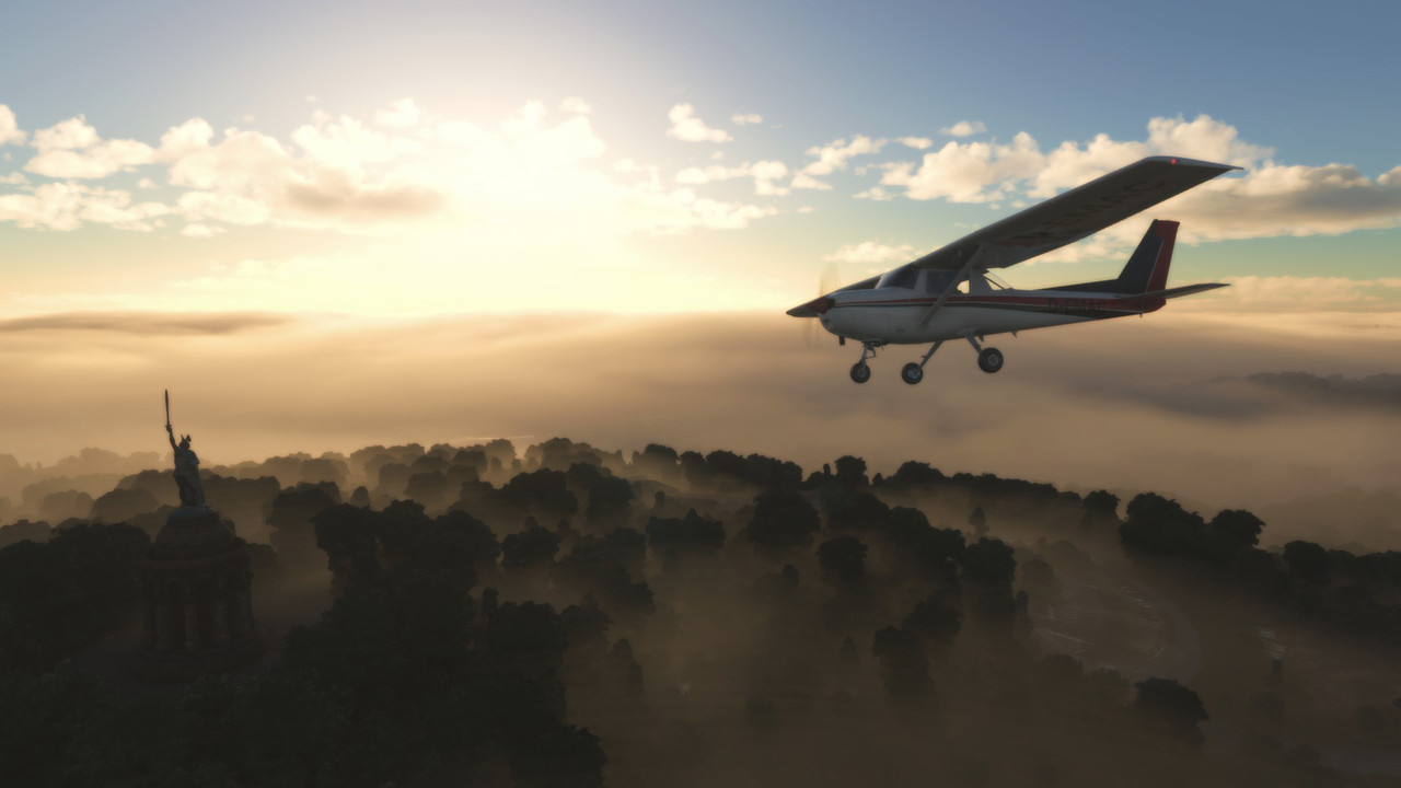 MSFS-313.jpg