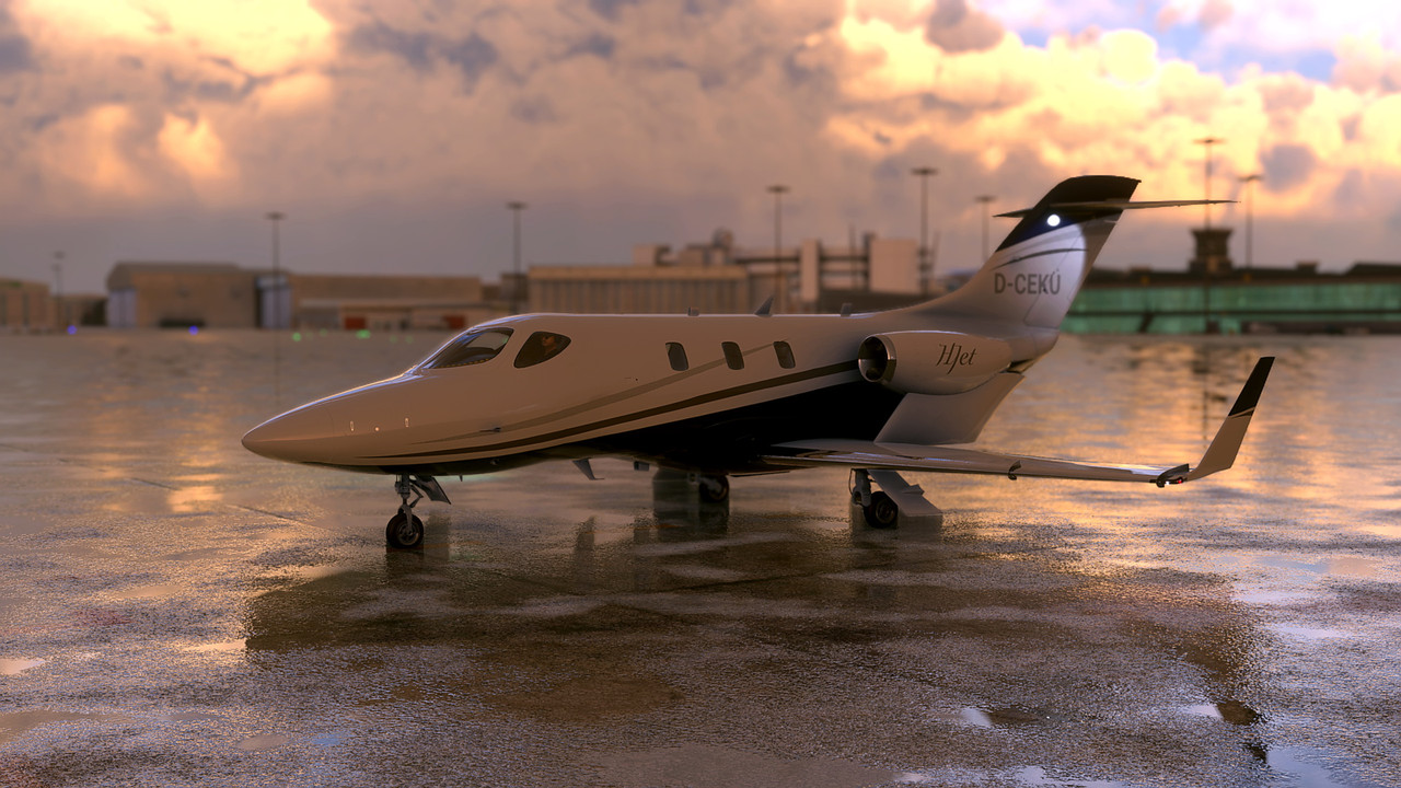 MSFS-388.jpg