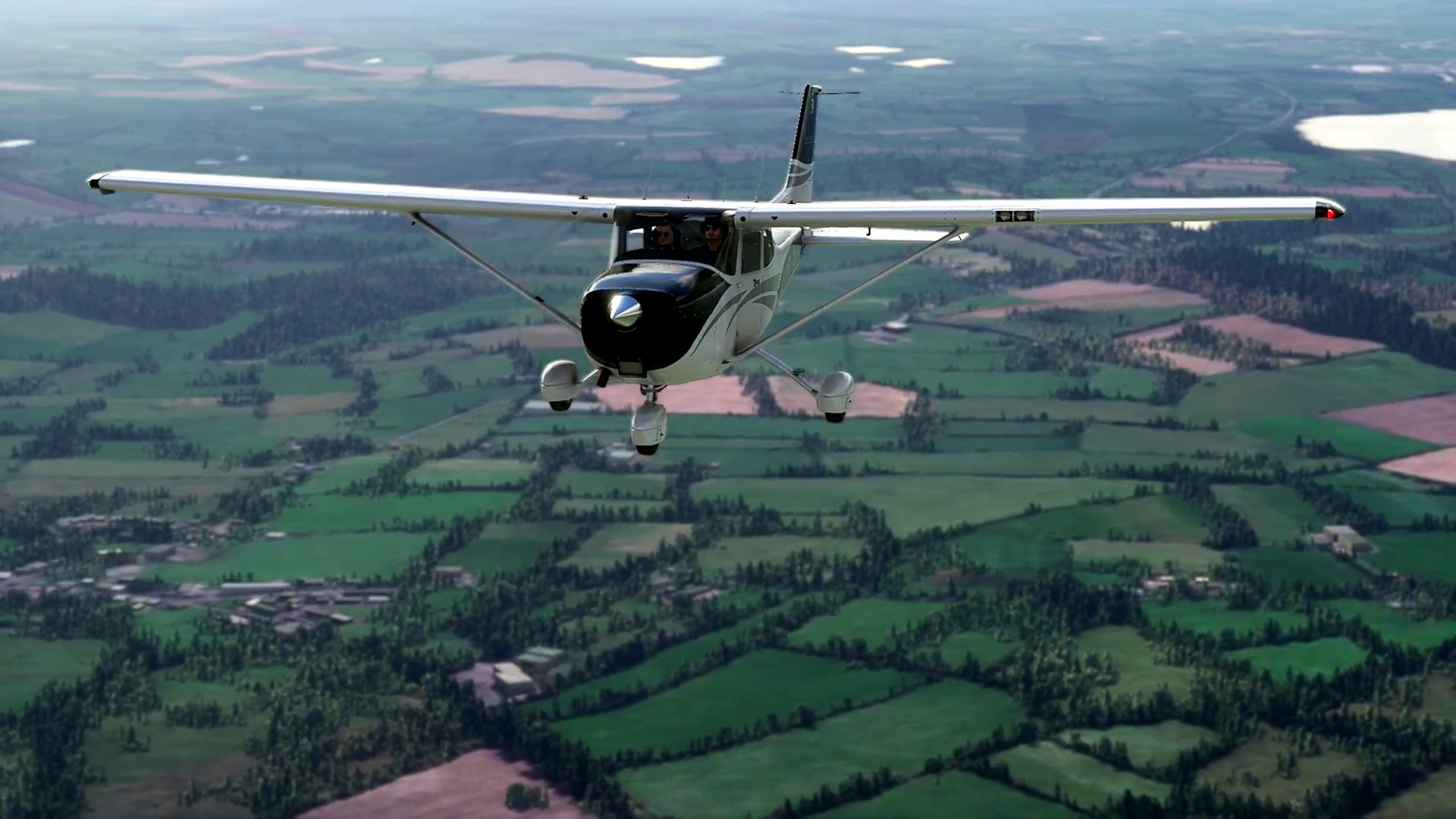 MSFS-142.jpg