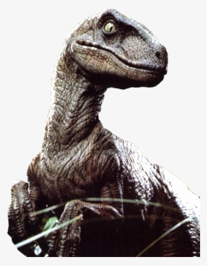 145-1452289_velociraptor-png-file-raptor-with-a-hat.png