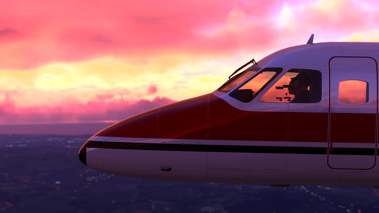 MSFS-229.jpg