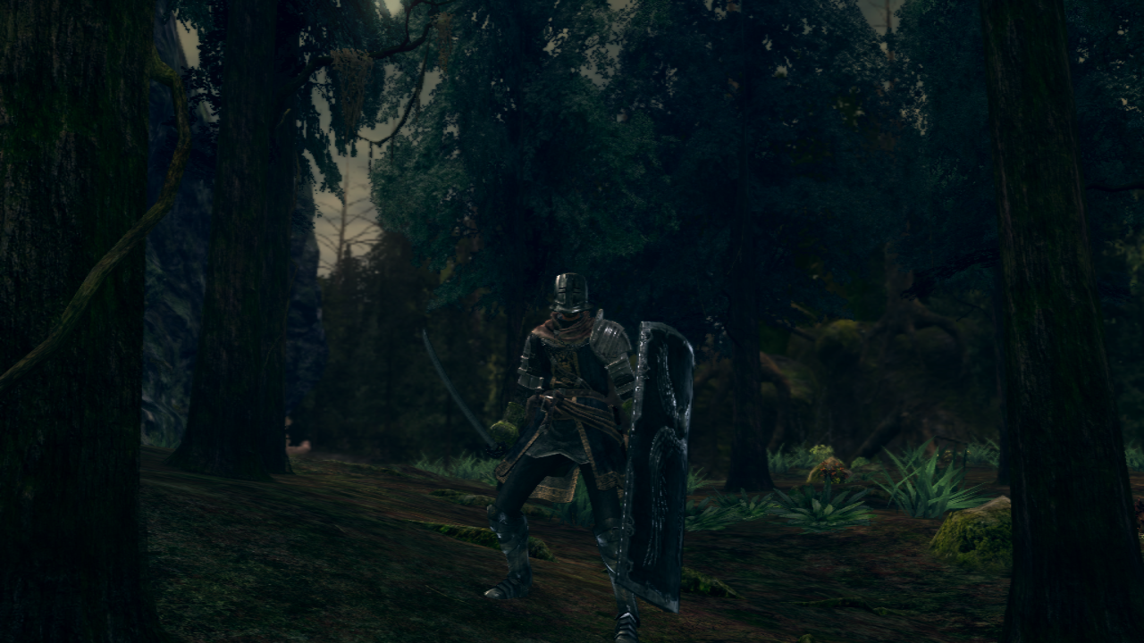 DS164.png