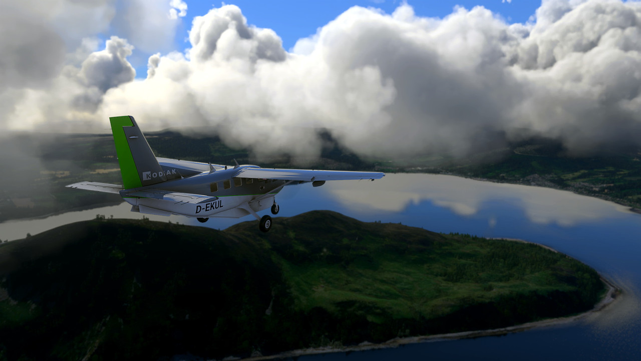 MSFS-258.jpg