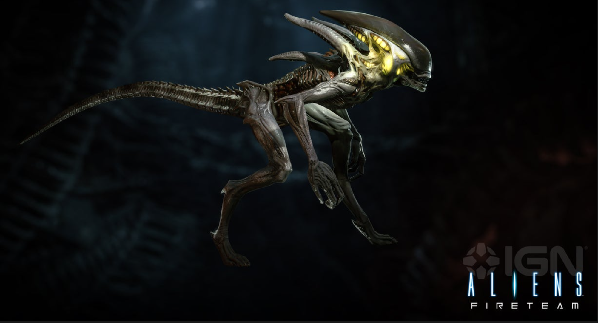CNX43cs.png