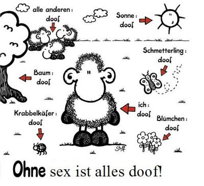fijn_125349.jpg