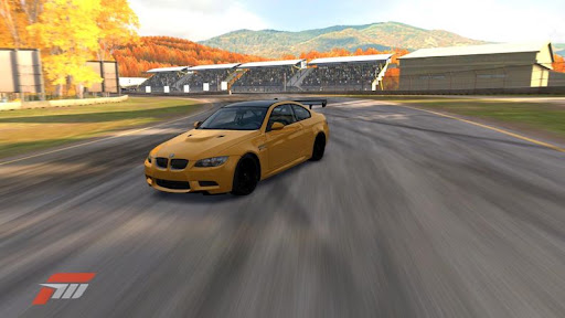 Forza80.jpg