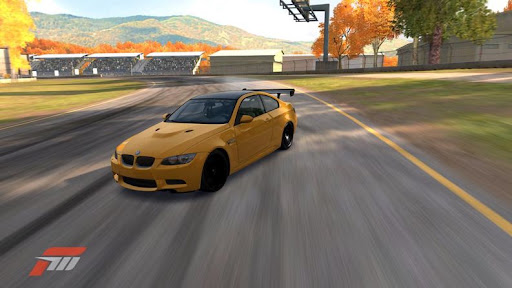 Forza81.jpg