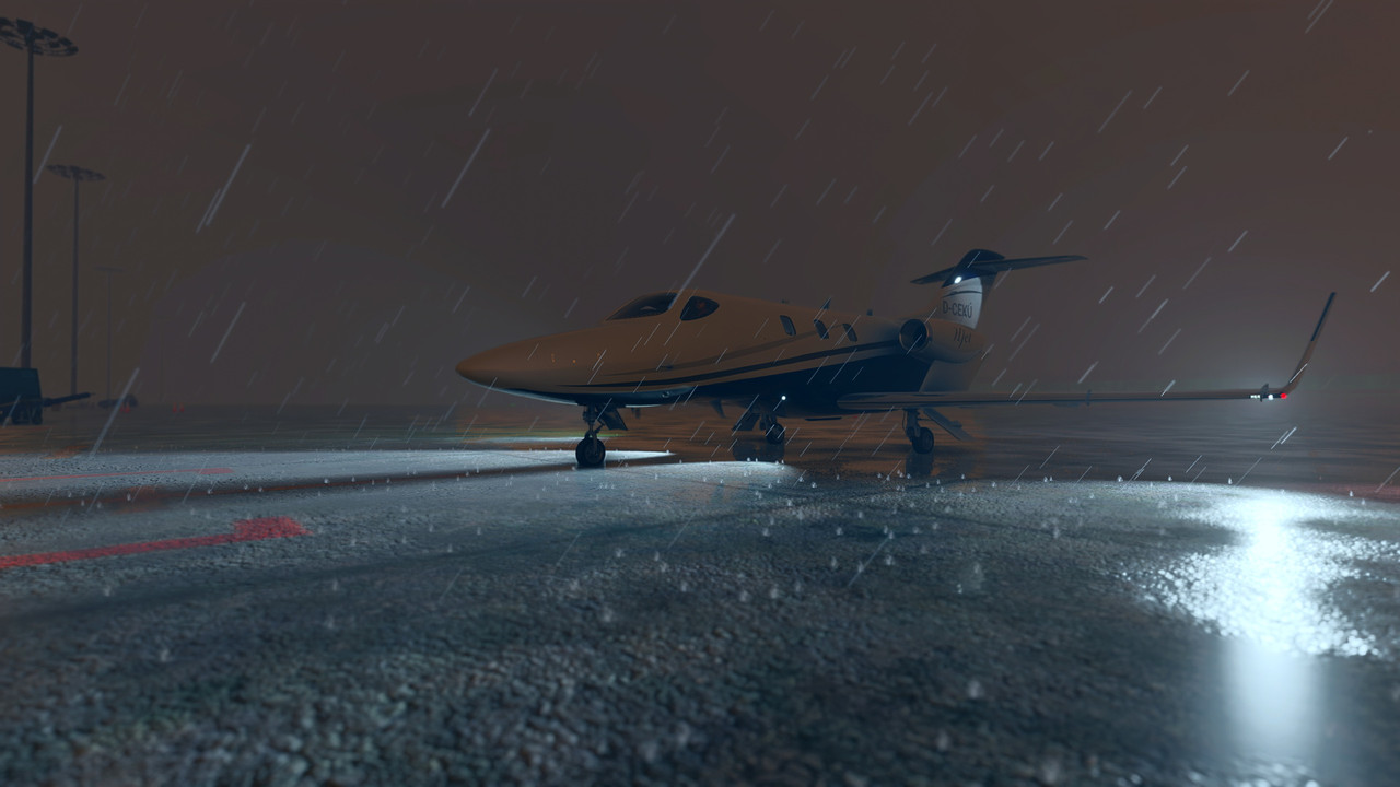 MSFS-390.jpg