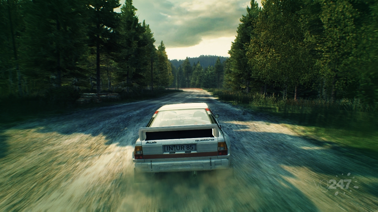 DiRT3_Rally_6_tif_jpgcopy.jpg