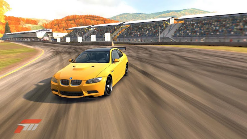 Forza79.jpg