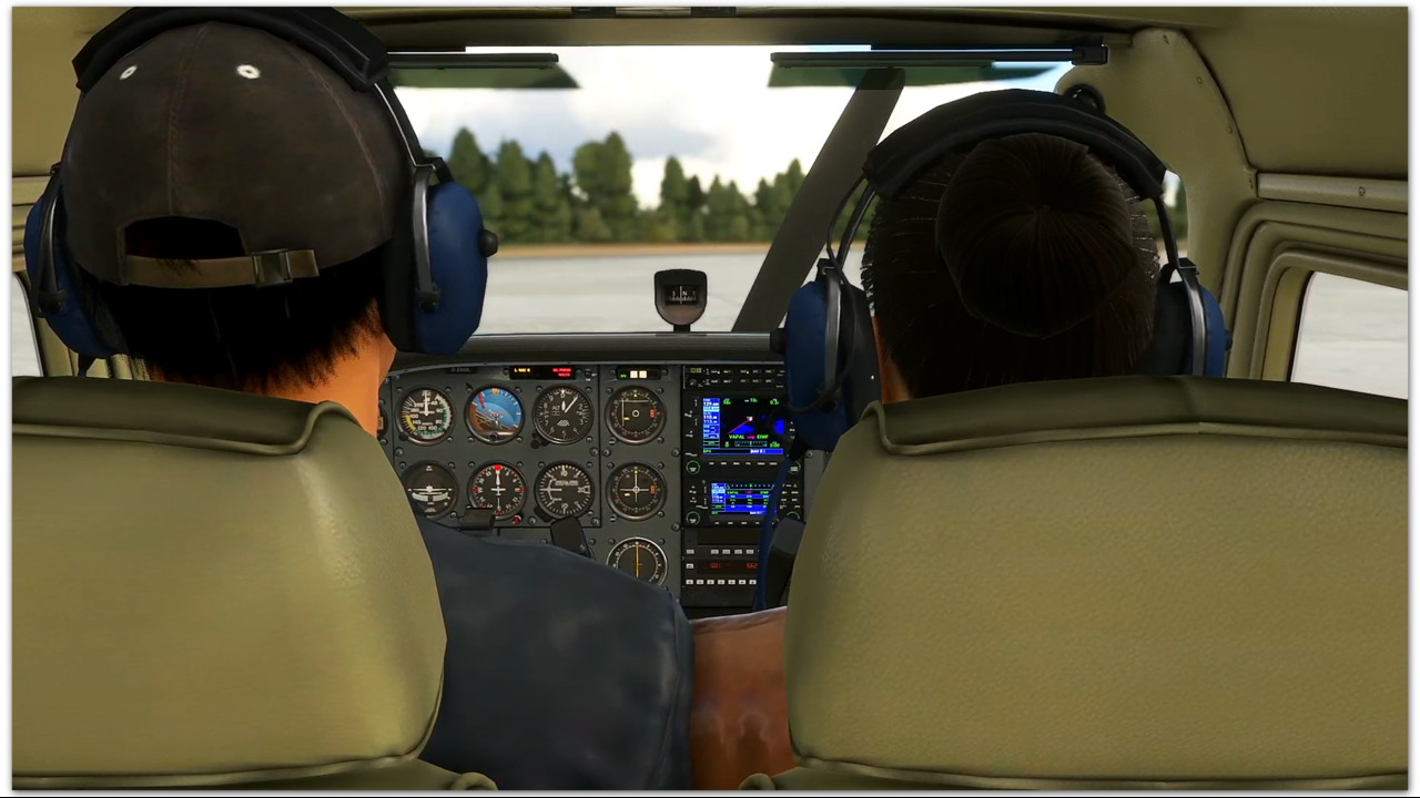 MSFS-50.jpg